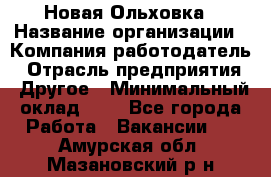 Новая Ольховка › Название организации ­ Компания-работодатель › Отрасль предприятия ­ Другое › Минимальный оклад ­ 1 - Все города Работа » Вакансии   . Амурская обл.,Мазановский р-н